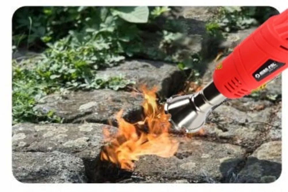 gorelka-elektricheska-za-pleveli-2kw-s-7-dyuzi-erastore-4